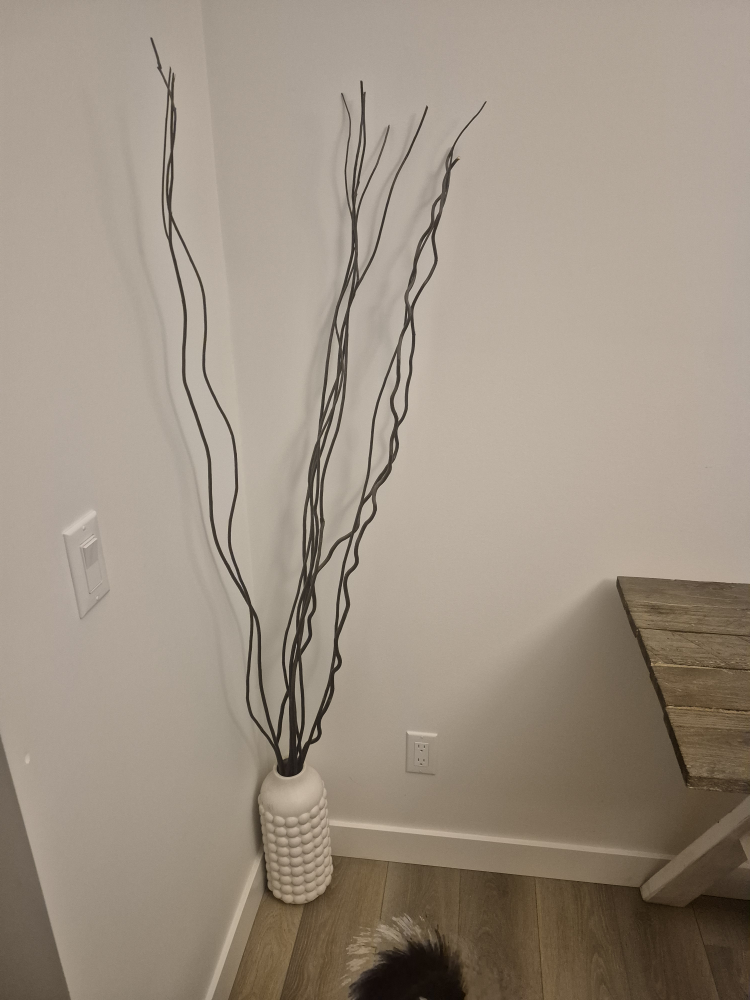 Tall Decorative Branches in White Vase