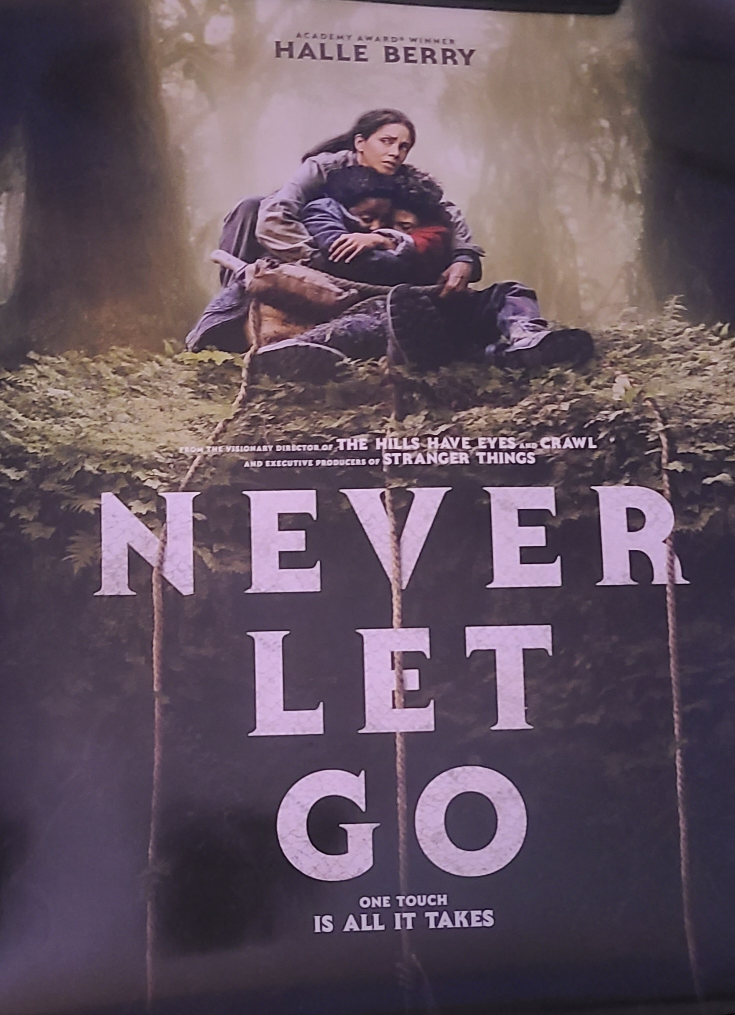 2024 Movie Poster Set - Never Let Go, Flight Risk, Borderlands - photo 2