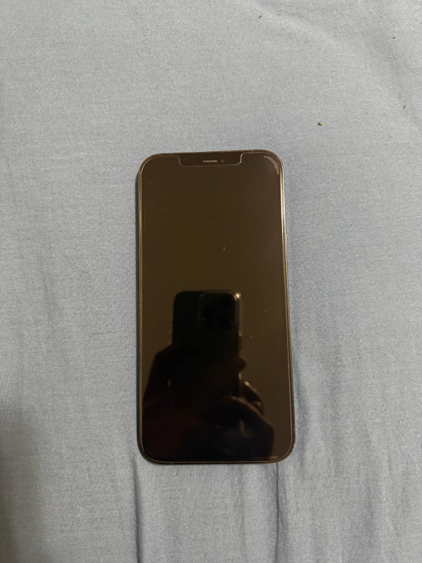 iPhone 12 Pro Max Sierra Blue 128 GB