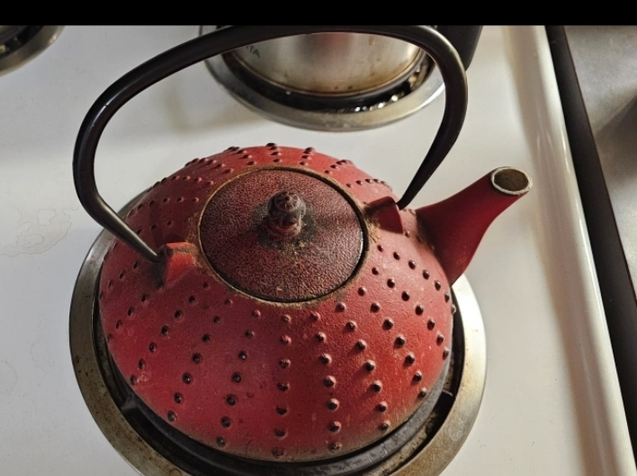 Red Cast Iron Kettel✈️