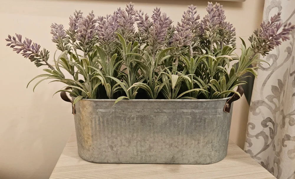 Metal Planter with Lavender thumbnail