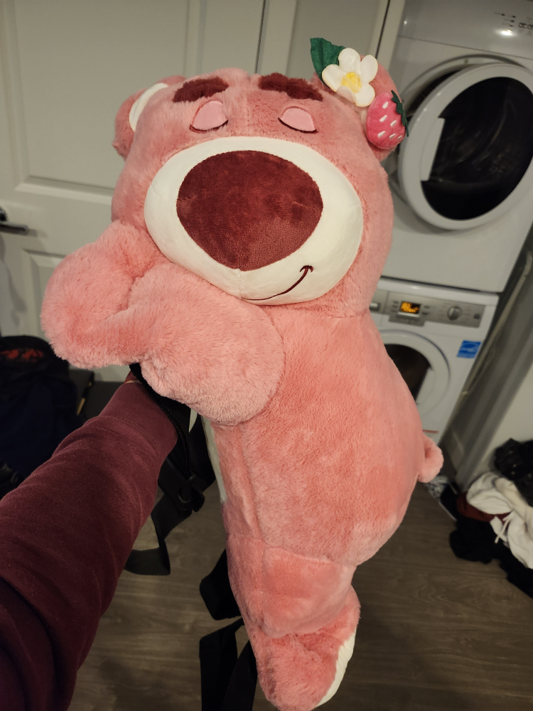 Toy Story Lotso hugging Bear ski/snowboard protector / Plush Toy - photo 2