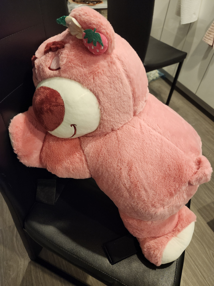 Toy Story Lotso hugging Bear ski/snowboard protector / Plush Toy - photo 3