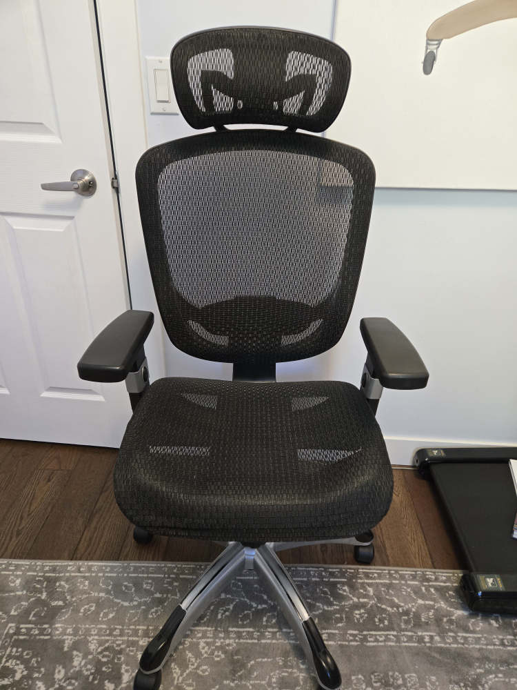 Ergonomic Mesh Office Chair