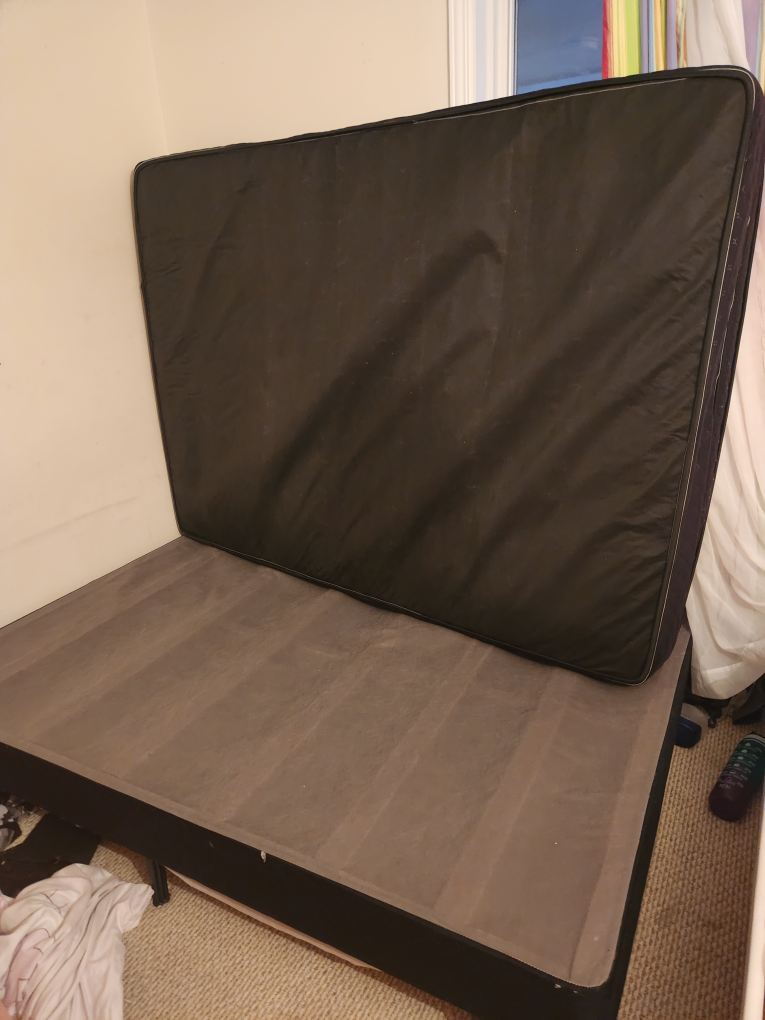 Boston Organics Spring Mattress and Box Set - photo 3