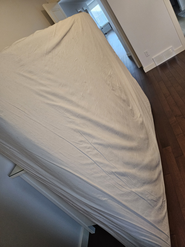 moving sale: IKEA Queen Size Mattress - photo 3