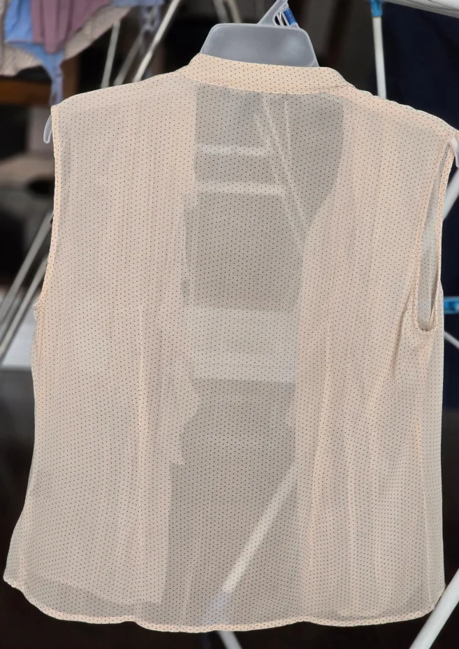 100 silk Sandra Angelazzi Women's Beige Sheer Blouse image indicator(2)