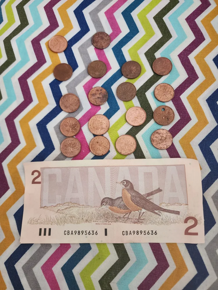 Canadian Pennies and Two Dollar Bill image indicator(2)