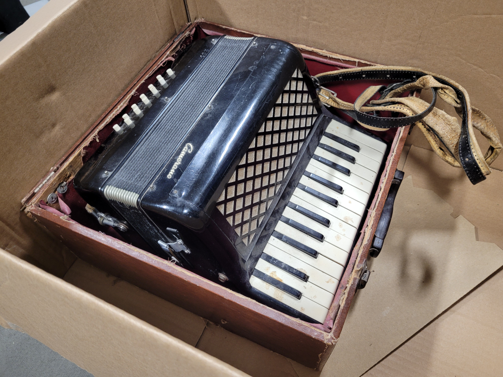 Vintage Camerano Accordion with half Case