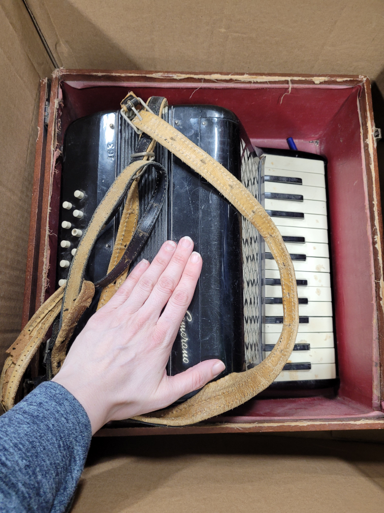 Vintage Camerano Accordion with half Case - photo 3