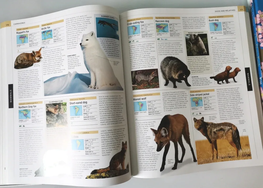 Books: Animal Visual Guide, Cherry Blossom Friends, Indognito image indicator(4)