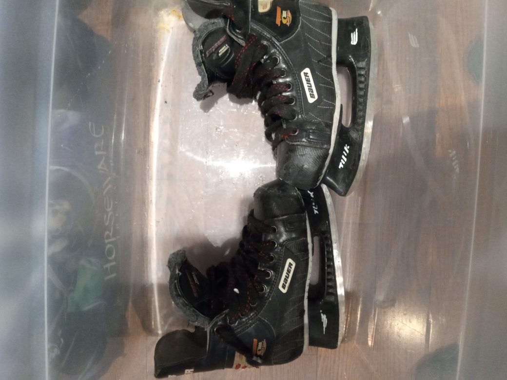 Bauer skates