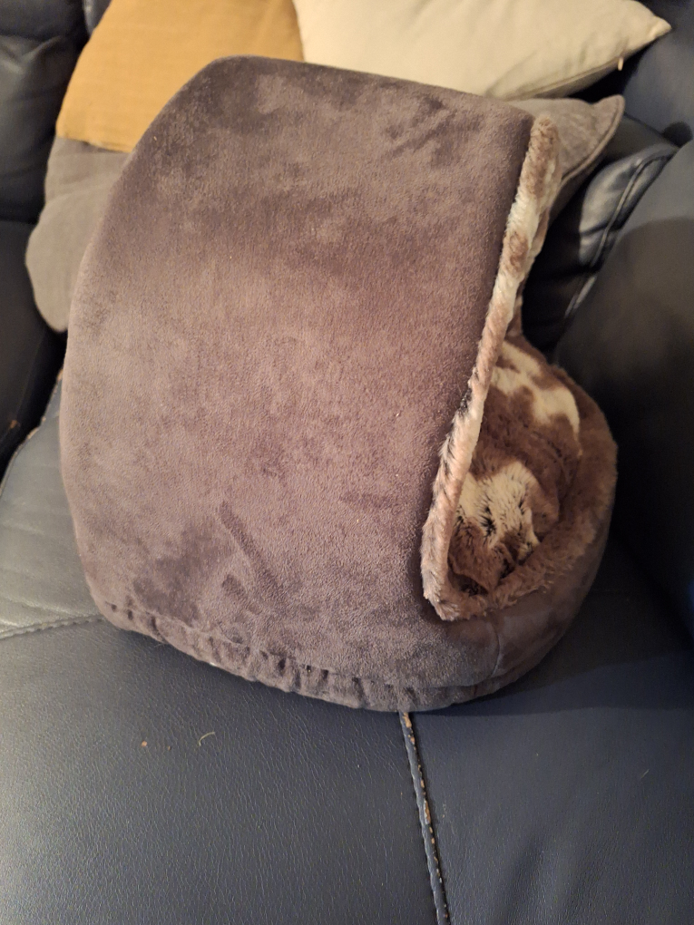 Bailey & Bella Companion Couture Pet Bed - photo 2