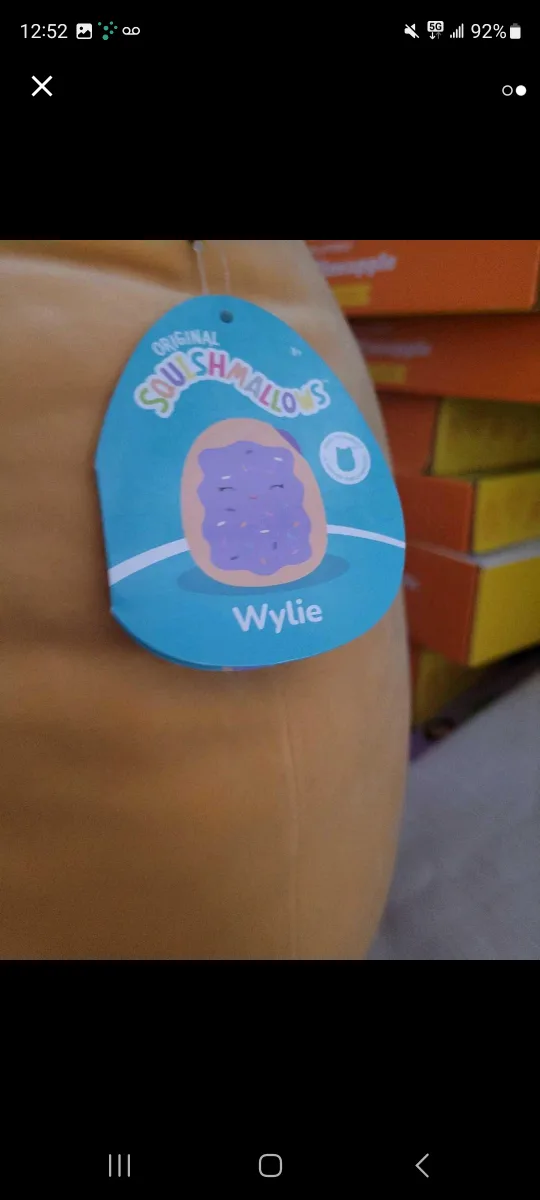 Wylie the Squishmallow image indicator(2)