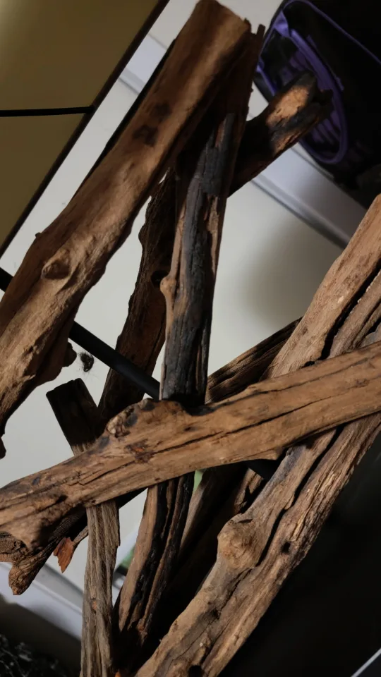 LAST PRICE!! Restoration Hardware driftwood table lamp image indicator(2)