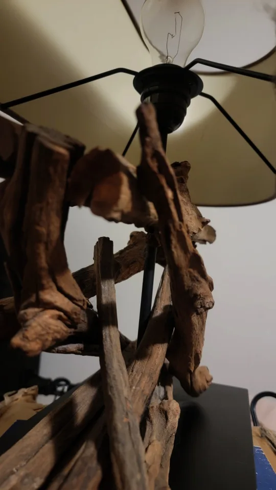 LAST PRICE!! Restoration Hardware driftwood table lamp image indicator(4)