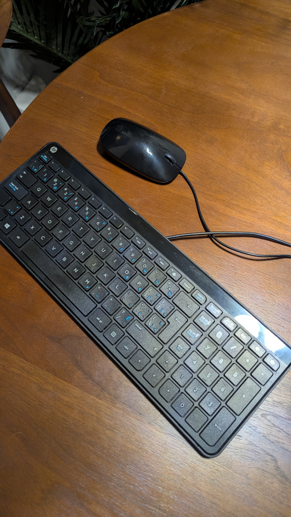 HP Wired Keyboard and Mouse Combo