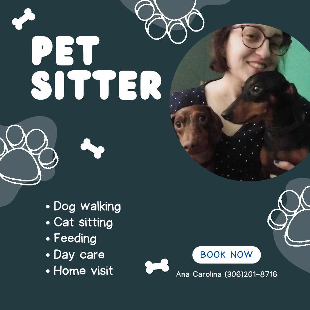 Pet Sitting Services