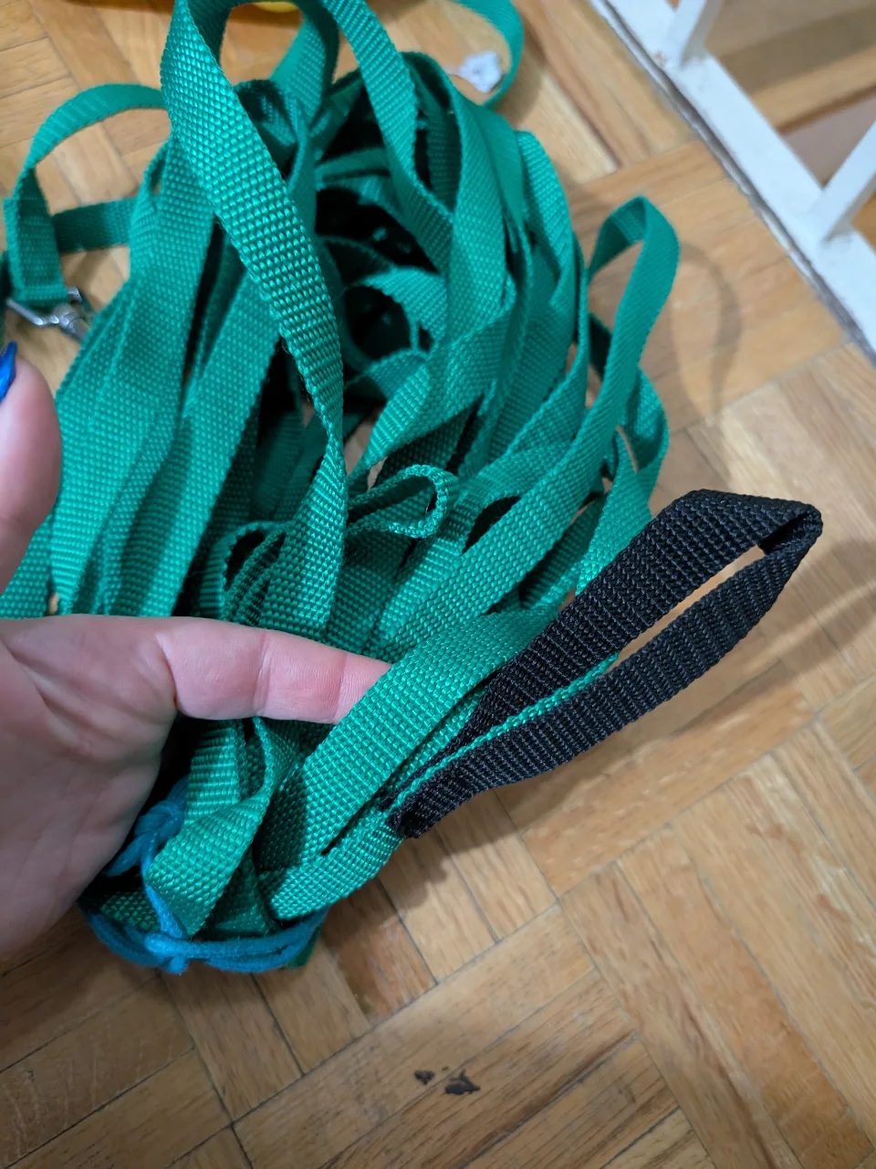 Green 50ft /15m long line / dog leash w custom tie offs image indicator(2)