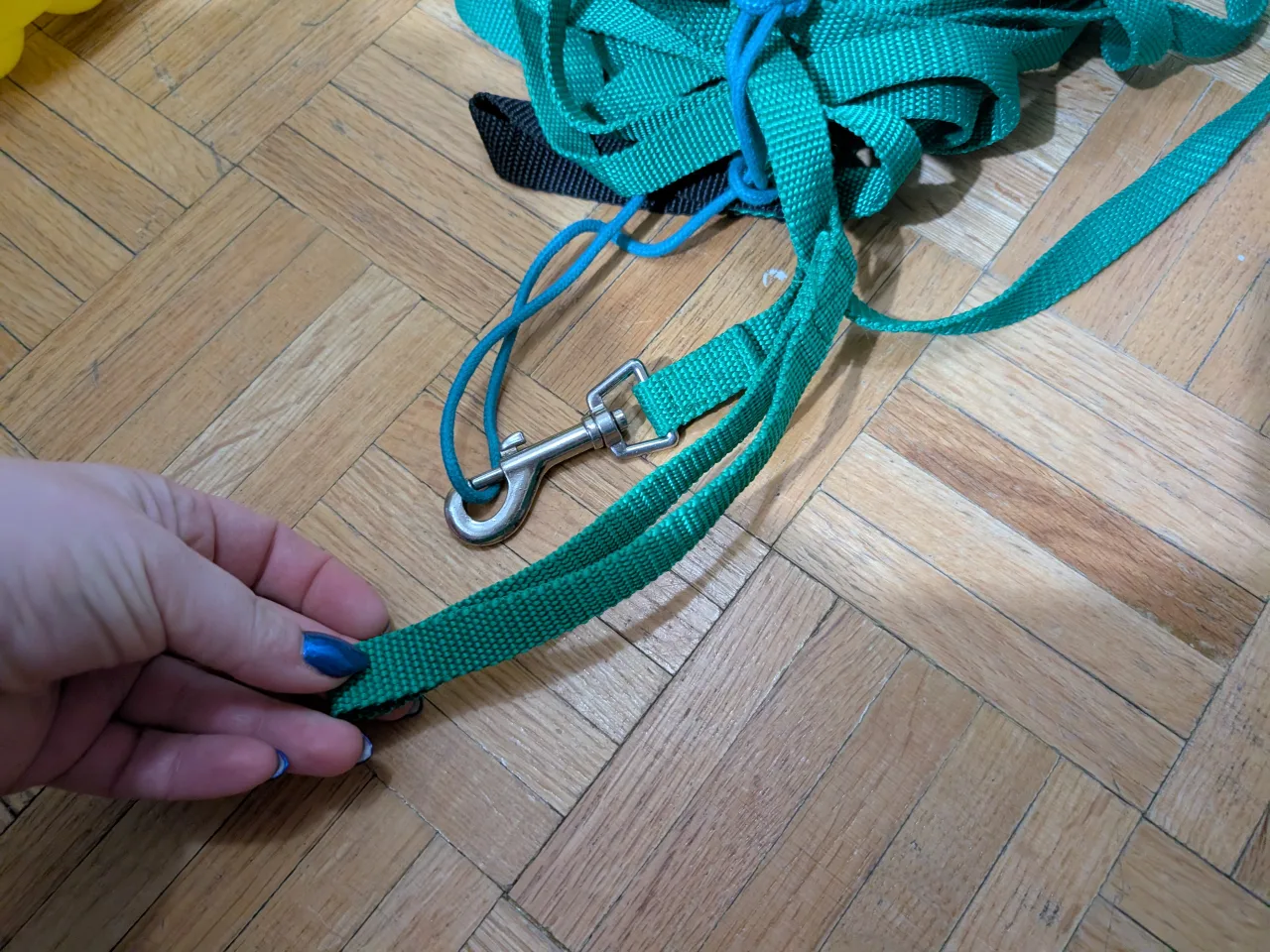 Green 50ft /15m long line / dog leash w custom tie offs image indicator(5)