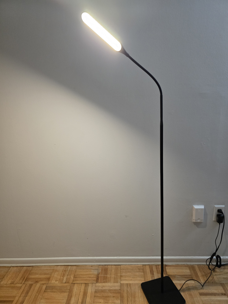 LED Floor Lamp from Amazon