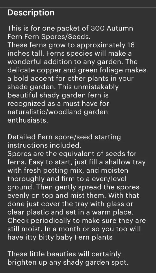300 Autumn Fern Spores/Seeds✨️🌿 image indicator(3)