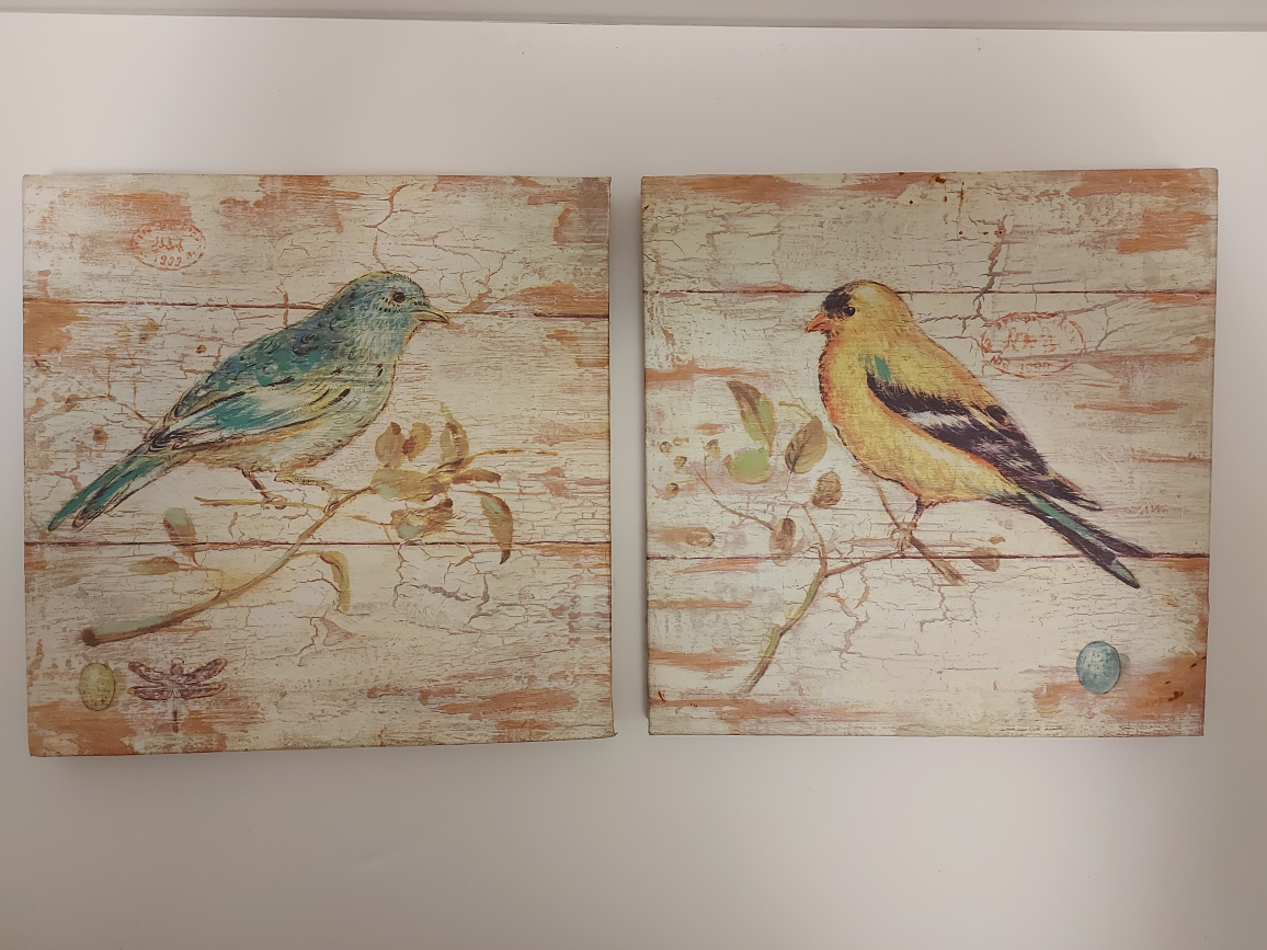 Cottagecore Set of 2 Bird Canvas Wall Art