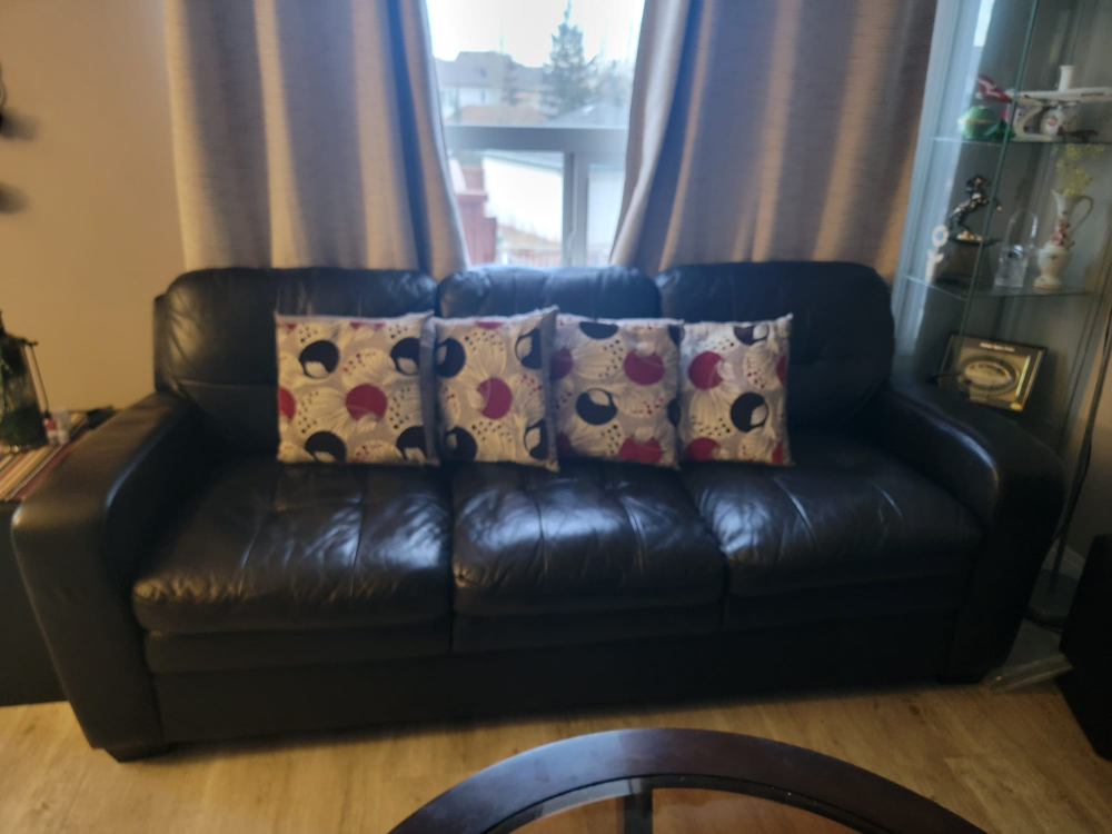 Dark Black Leather Sofa and Loveseat Seat