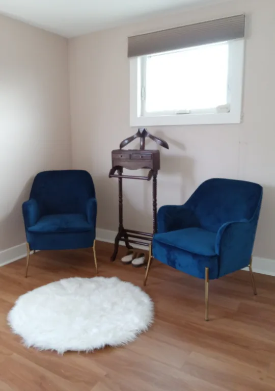 Velvet Accent Chairs with Gold Legs image indicator(3)