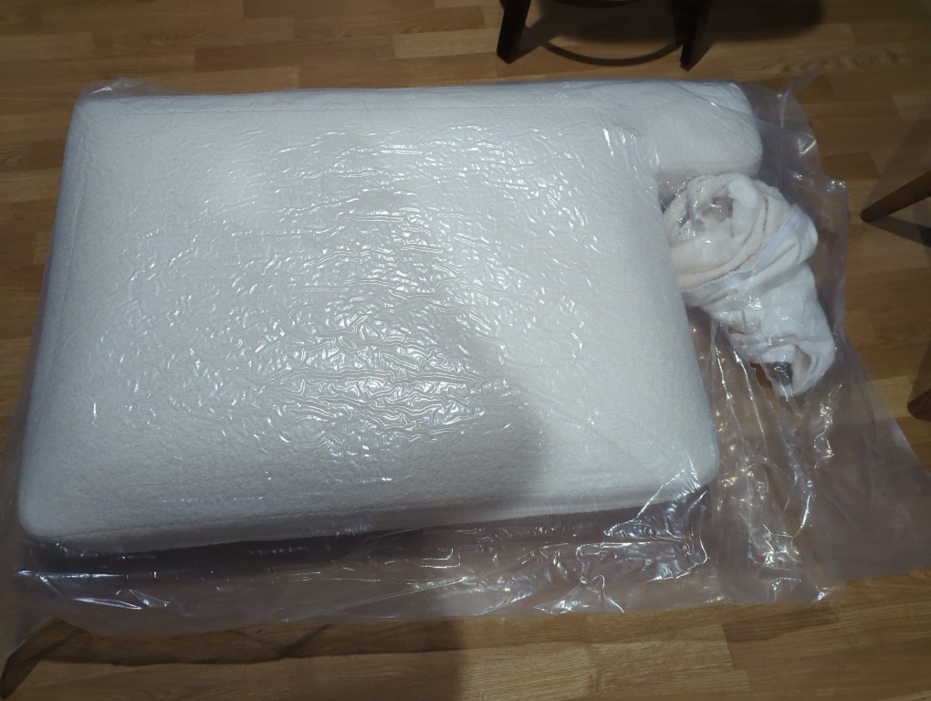 Free Brand new white 40x30in (roughly) oversized couch cushions