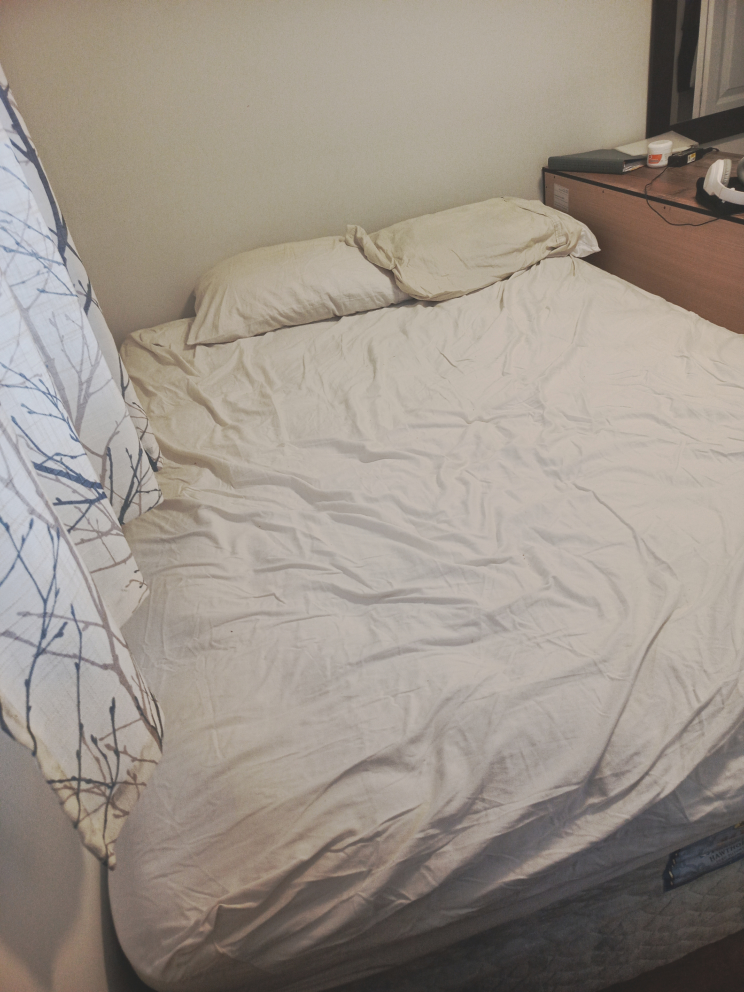 Leon's QUEEN Sized Mattress Set with FREE rolable Frame - photo 2