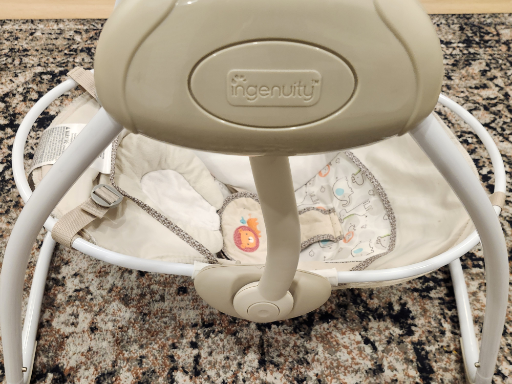 Ingenuity Baby Swing - photo 3
