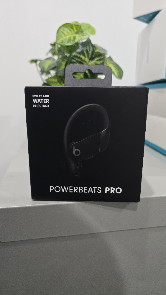 Beats Powerbeats Pro Wireless Earbuds - Black