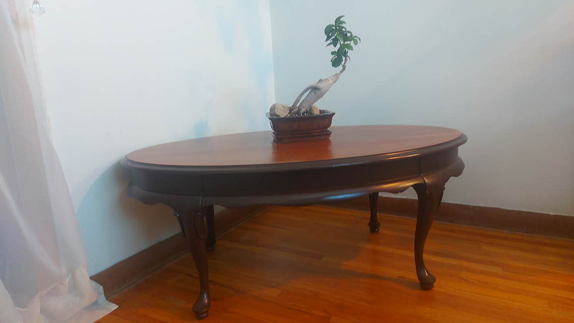 Oval Wooden Coffee Table