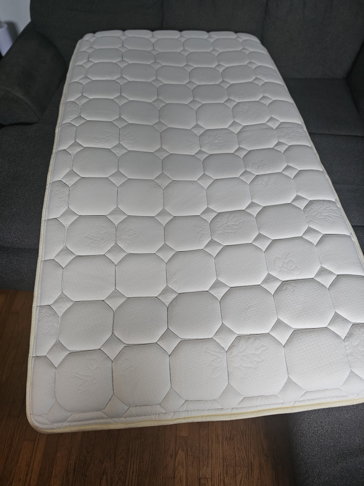 Twin Mattress Topper. No stain No bug