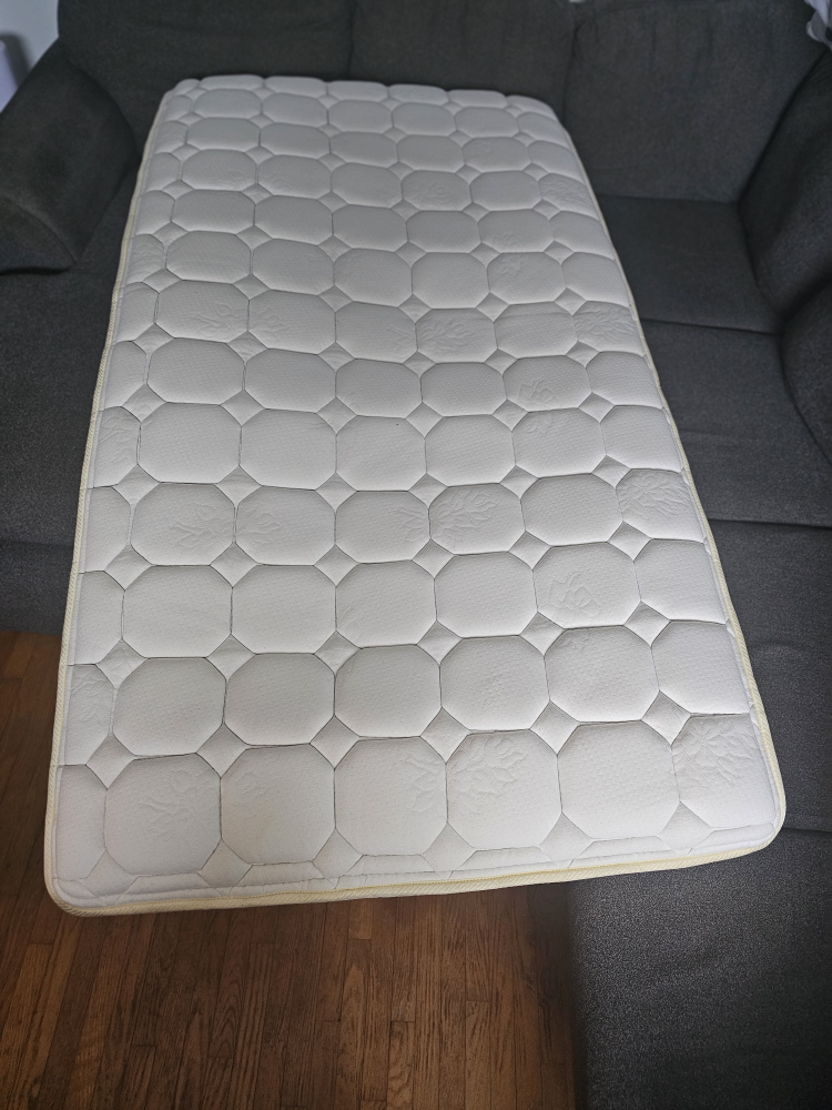 Twin Mattress Topper. No stain No bug - photo 2