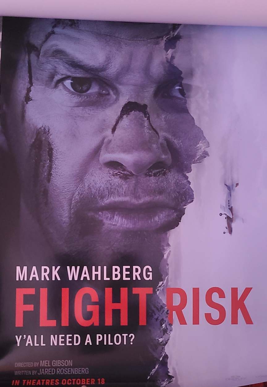 2024 Movie Poster Set - Never Let Go, Flight Risk, Borderlands - photo 3
