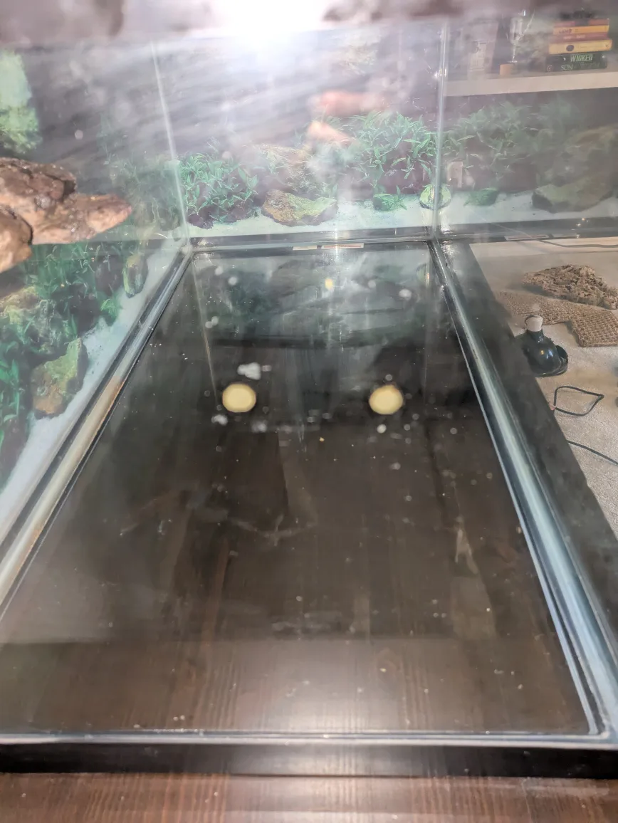 40 Gallon tank with accessories for a lizard or aquarium image indicator(4)