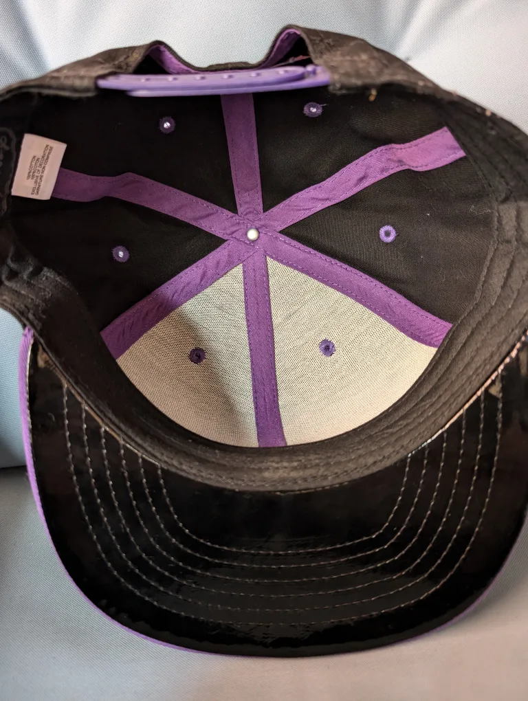 Disney Goofy Snapback Hat image indicator(4)