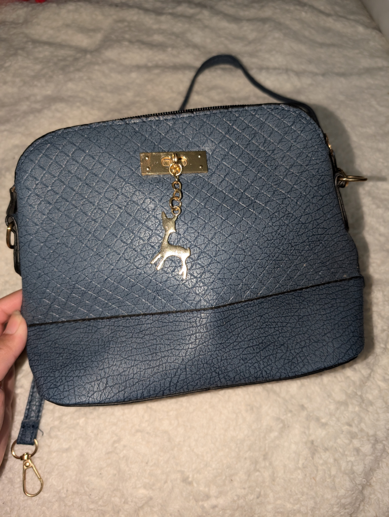 Handbag Bundle: Sling Bag, Fanny Pack, Crossbody, and Coach Tote - photo 2