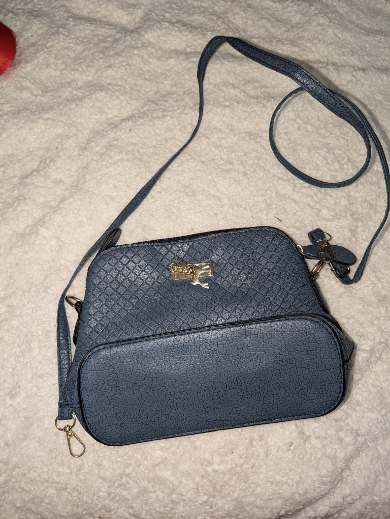 Handbag Bundle: Sling Bag, Fanny Pack, Crossbody, and Coach Tote - photo 3