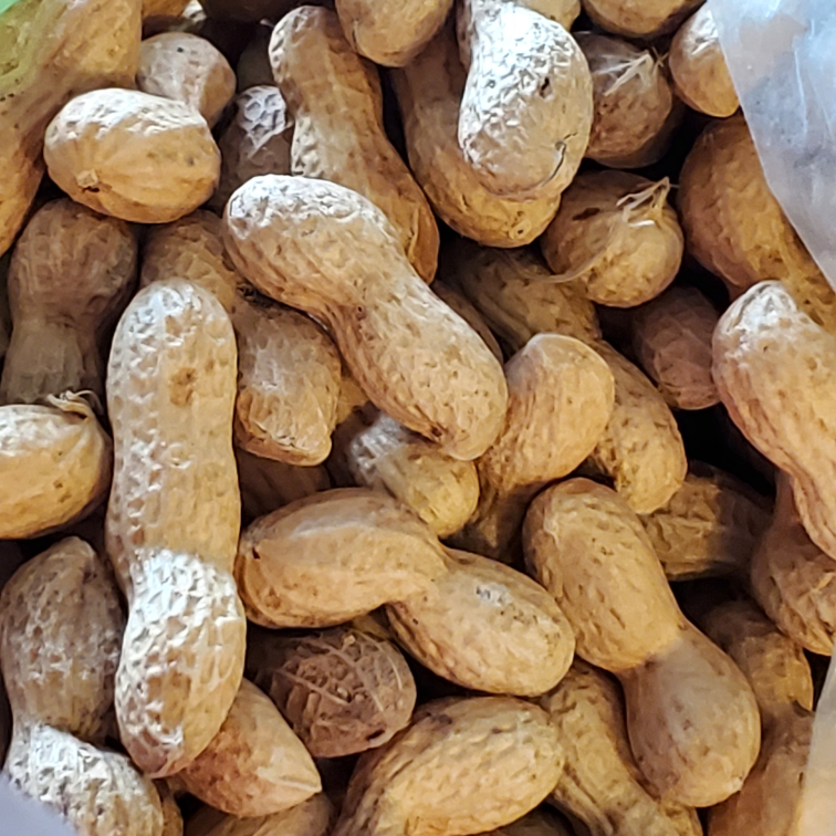 In-shell jumbo peanuts from bulk