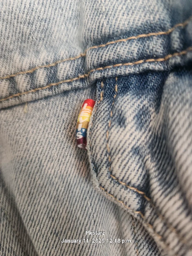 Levi's Pride Denim Jacket image indicator(5)