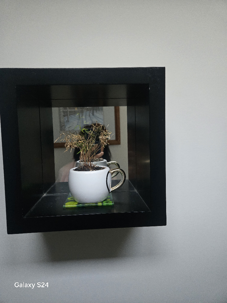 Set of Four Black Floating Cube Shelves - photo 2