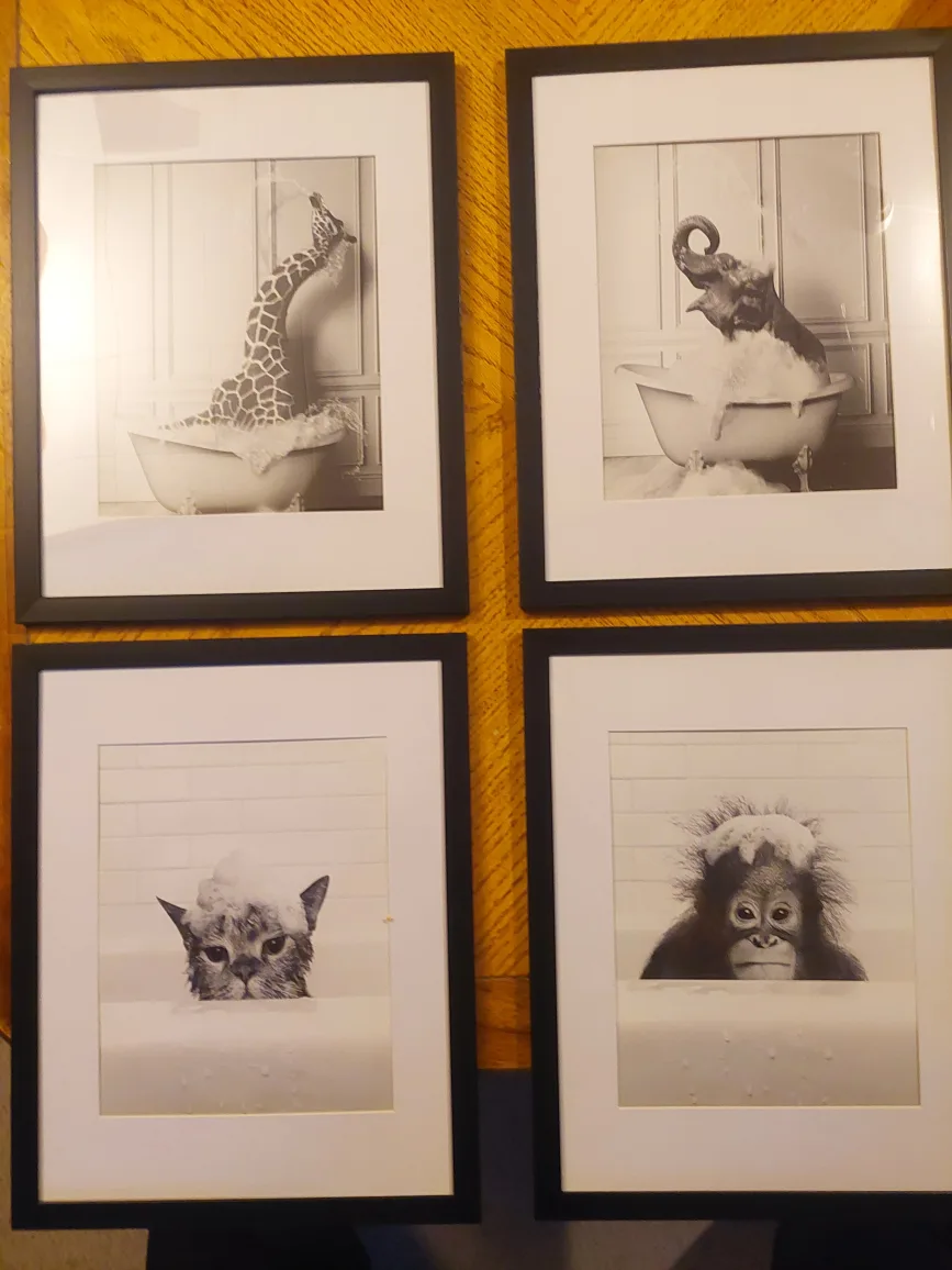 Framed animal prints image indicator(2)