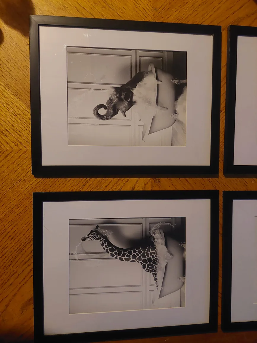 Framed animal prints image indicator(3)