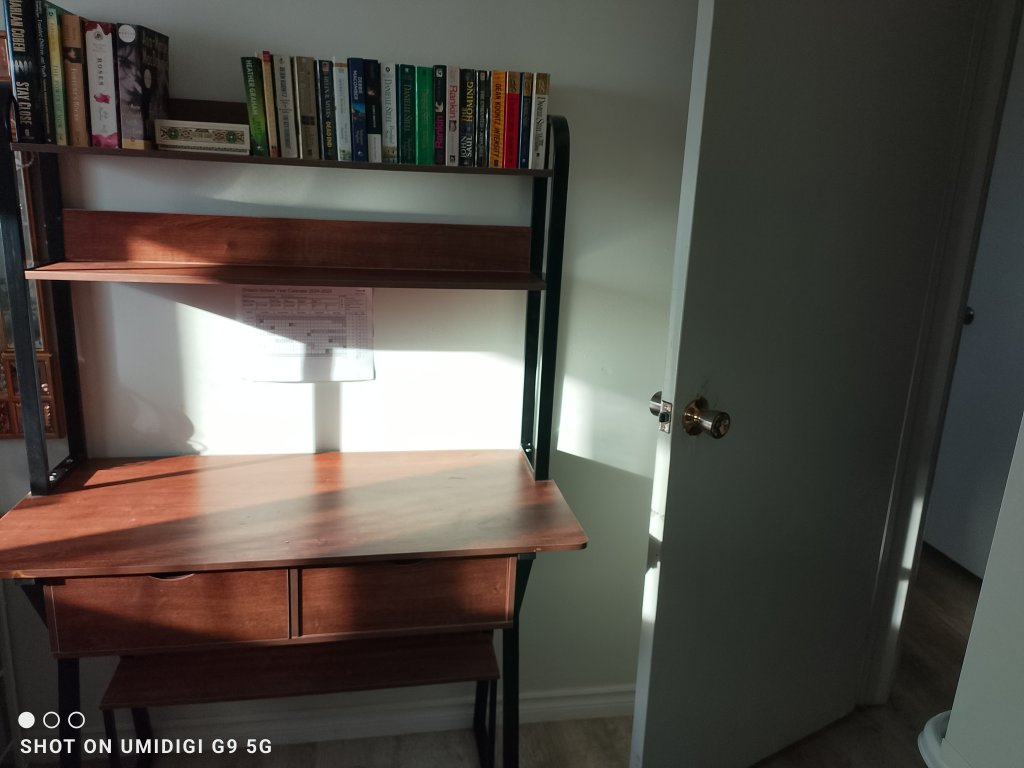 Brown Wooden Desk with Bookshelf
