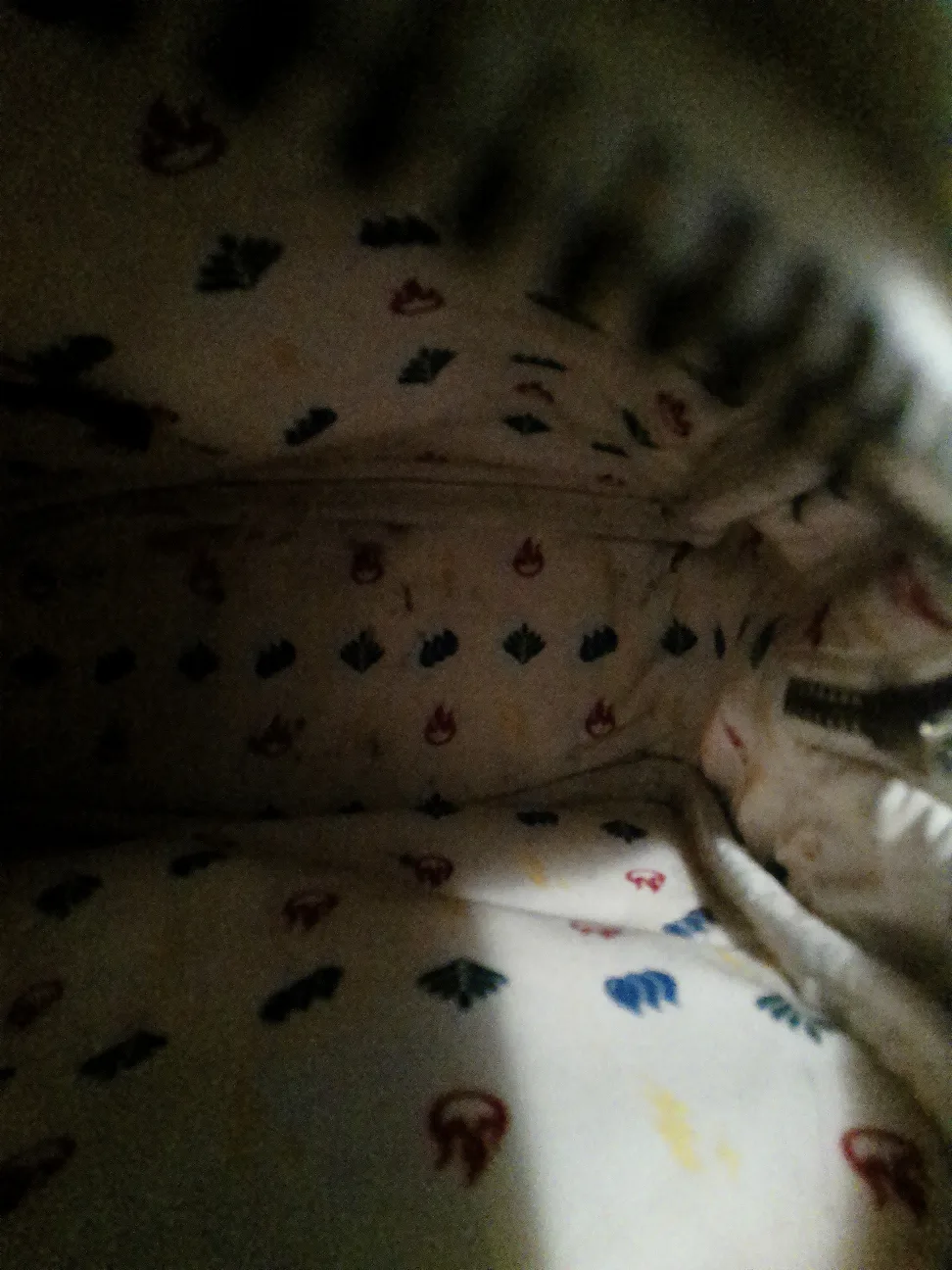 pokemon backpack image indicator(4)