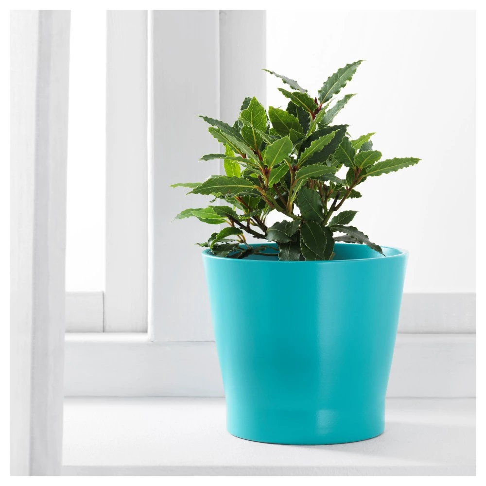 IKEA (Set 5 pots) Papaja 303.313.53 & Kardemumma 001.737.36