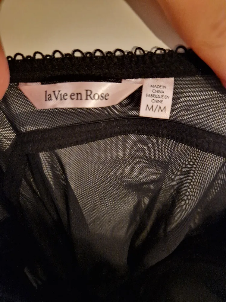 la Vie en Rose Black Corset image indicator(2)
